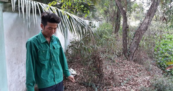 Lãnh đạo tỉnh Cà Mau chỉ đạo xác minh vụ hơn 300 thi thể thai nhi tại nhà máy rác