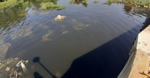 Sông Hàn “thoi thóp” vì vệt nước thải đen ngòm, ngập váng dầu