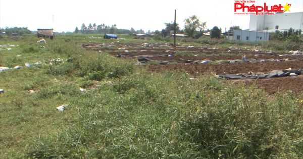 BQL Dự án “công nghiệp cụm cơ khí ô tô” cần giải quyết khiếu nại của dân