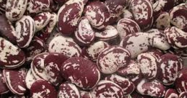 Quảng Ninh: Bắt 2 người “chặt chém” khách du lịch, bán 2 triệu đồng/kg đậu ngự