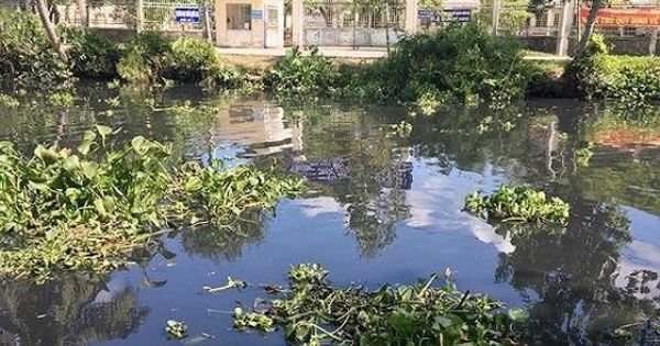 Hậu Giang: hơn 6000 ngàn hộ dân