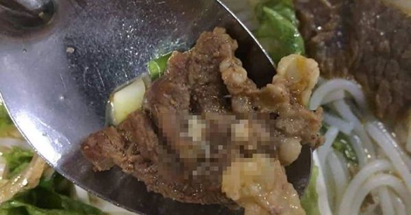 Nghệ An: Phạt 6 triệu đồng đơn vị cung cấp thực phẩm có dòi cho công nhân