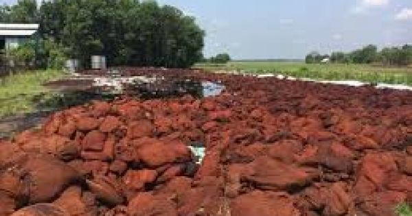 Tây Ninh: Phát hiện công ty chế biến vỏ hạt điều xả thải chưa xử lý ra môi trường