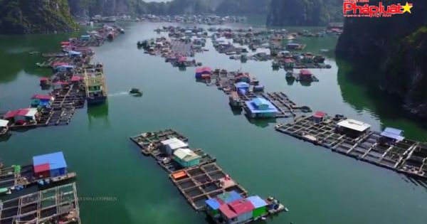 Những điểm đến “cũ mà mới” gây thương nhớ bởi vẻ đẹp rất riêng biệt tại Hải Phòng