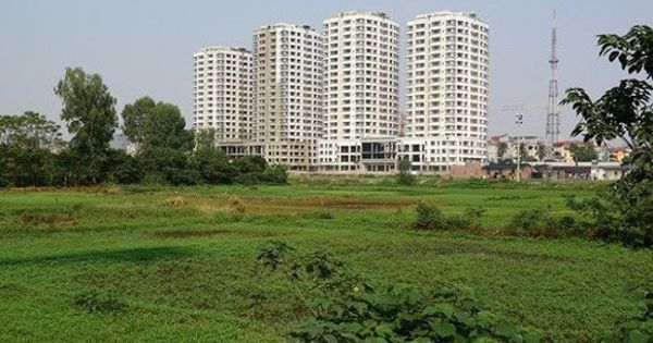 TPHCM muốn chuyển 380ha đất ruộng thành KCN tại huyện Bình Chánh