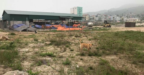 Vân Đồn: Hơn 50% dự án đã giao đất nhưng chậm tiến độ