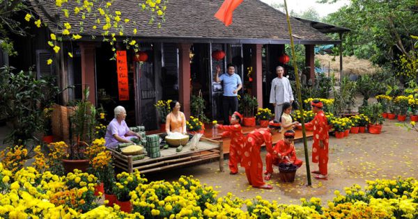 Các chuyên gia đề nghị 