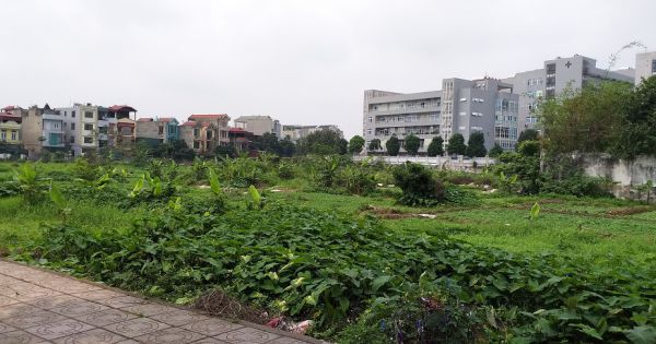 Hà Nội: Hàng loạt dự án giao cho Doanh nghiệp nhưng không đấu thầu