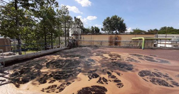 Đồng Nai: Công ty AB Mauri Việt Nam gây mùi hôi, người dân phải treo biển bán nhà