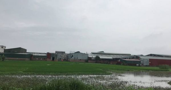 Hà Nội: Chủ đầu tư di chuyển máy móc vi phạm ra khỏi khu đất nông nghiệp