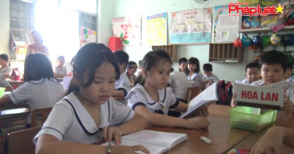 TP HCM: Thử nghiệm đăng ký tuyển sinh lớp 6 qua mạng
