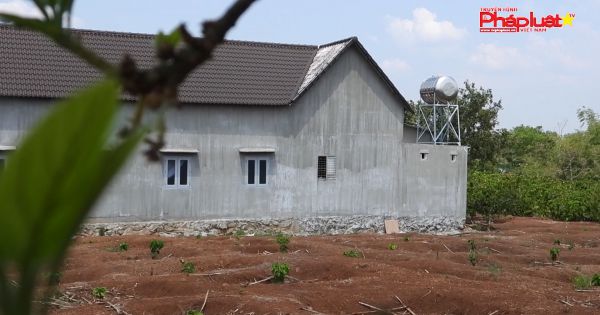 Đắk Lắk: Khuất tất khi đất của người này lại nằm trong sổ đỏ của người khác