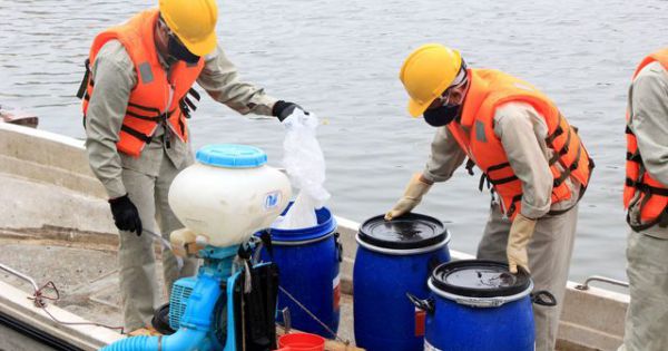 Hà Nội: Thanh tra toàn diện việc mua, sử dụng chất Redoxy-3C