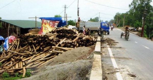 Tình trạng vi phạm pháp luật về đê điều có chiều hướng gia tăng