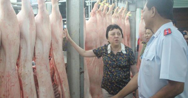 Đã xuất hiện vắc xin dịch tả lợn châu Phi giả