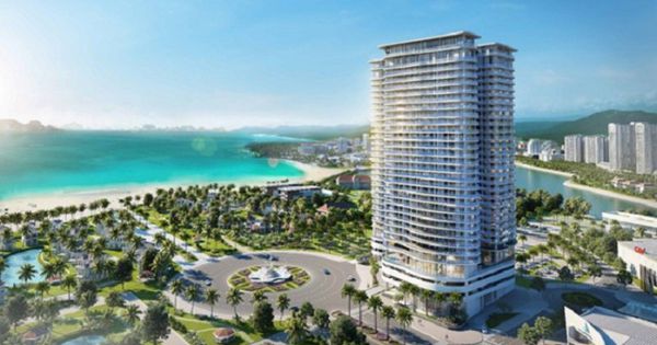 Hiệp hội Bất động sản TPHCM kiến nghị: Khi ký hợp đồng mua bán nhà đất, tiền đặt cọc không quá 50 triệu