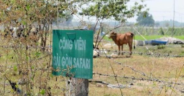 Kết luận thanh tra toàn diện dự án Công viên Sài Gòn Safari