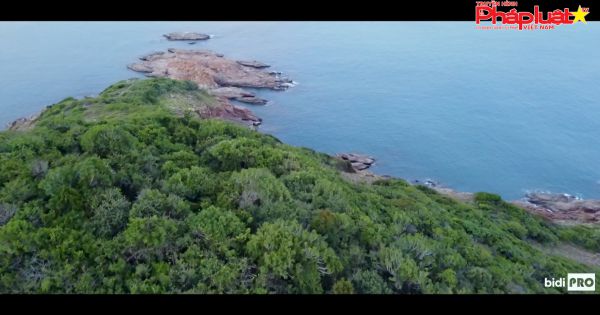 Vẻ đẹp hoang sơ, thơ mộng của làng chài Bãi Xếp ở Quy Nhơn