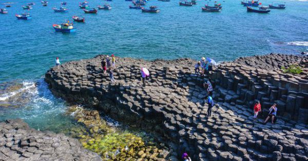 Mùa hè xanh ngắt ở xứ “hoa vàng, cỏ xanh” Phú Yên