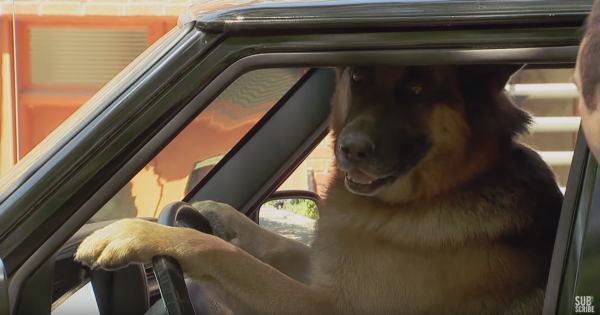 Best of Car Pranks Just For Laughs Compilation