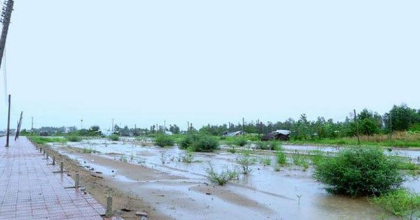 Cà Mau: Vẫn chưa hoàn thiện Khu tái định cư Xẻo Quao