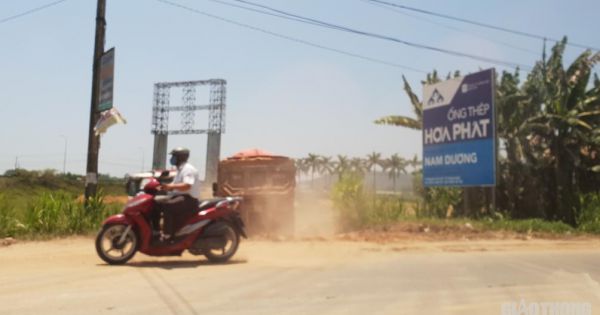 Bình Định: Ồ ạt dùng 