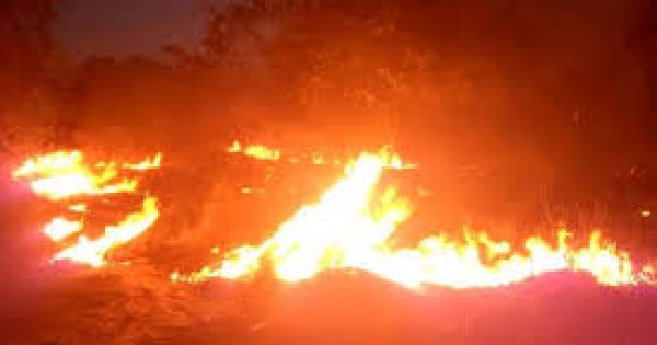 Thủ tướng Chính phủ: Xử lý trách nhiệm người đứng đầu khi để xảy ra cháy rừng