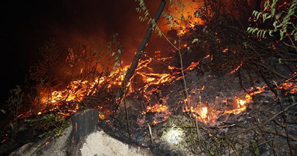 Chưa dùng trực thăng chữa cháy rừng ở Hà Tĩnh vì 