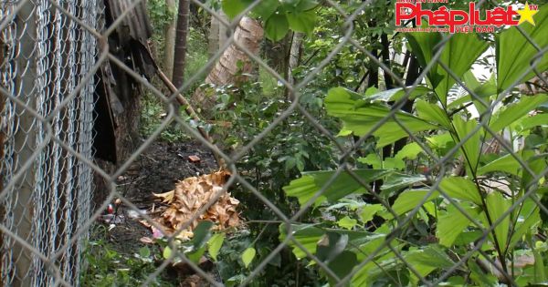 Bức xúc vì hàng xóm ngang nhiên lấn đất, lắp mương, xây dựng bờ rào