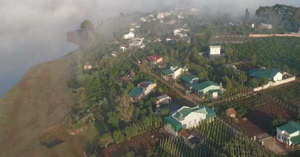 Sương giăng mờ ảo trên Biển Hồ chè ở Gia Lai