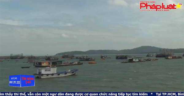 Tin nóng 24h 03/07/2019