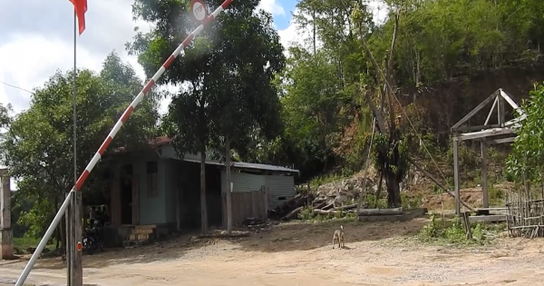 Gia Lai: Kiểm lâm Kông Chro làm ngơ cho lâm tặc thông chốt