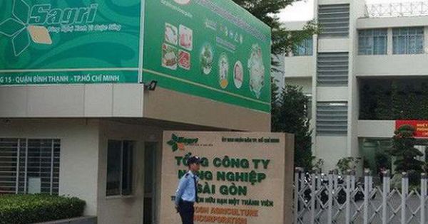 Khởi tố thêm nguyên Chủ tịch Hội đồng thành viên và kế toán trưởng SAGRI