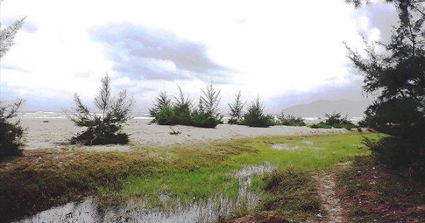 Thanh tra tỉnh TT-Huế vào cuộc vụ hàng chục lô đất “vàng” ven biển cấp trái phép cho cán bộ