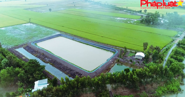 Long An: Tình trạng “xâm phạm” đất của người khác - cảnh cáo có đủ sức răn đe?