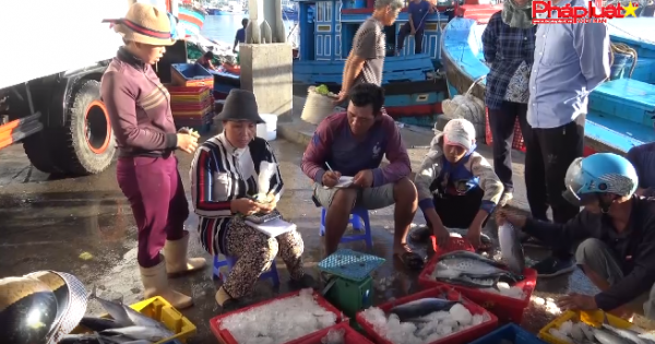 Buổi sáng ở cảng cá Cà Ná - Ninh Thuận