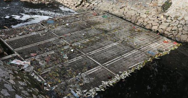 Sau khi dừng nhận nước từ Hồ Tây, cá lại chết nổi trên sông Tô Lịch