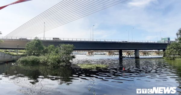 Đà Nẵng: Phạt 8 cơ sở nhà hàng, trung tâm tiệc cưới gây ô nhiễm môi trường