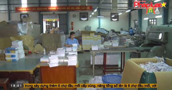 Bộ GD&ĐT thành lập 9 Hội đồng thẩm định SGK lớp 1