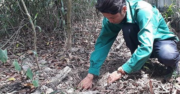 Cà Mau: Không khởi tố vụ án Nhà máy xử lý rác thải phát hiện 300 xác thai nhi