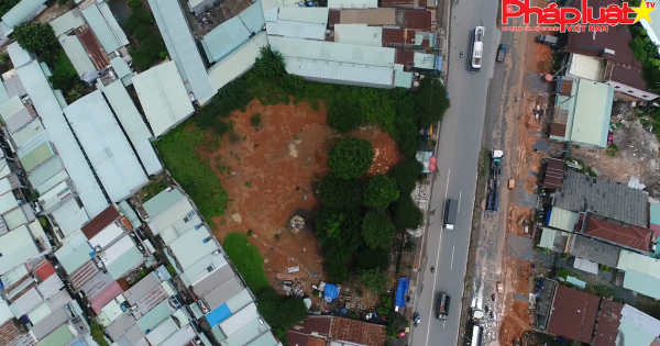 Luật một đường... Tòa nhận định một nẻo?