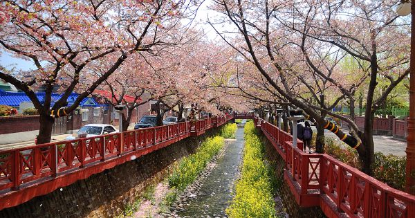 Hấp dẫn “Korea MICE Roadshow 2019”