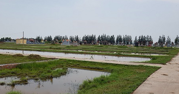 Vi phạm quản lý đất đai, 2 lãnh đạo xã ở Thái Bình bị khởi tố