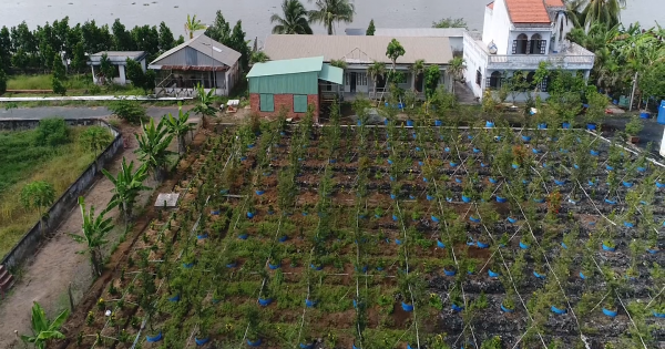 Kỳ 1: Tiền Giang - Vì đâu dân đi “kiện” UBND tỉnh?