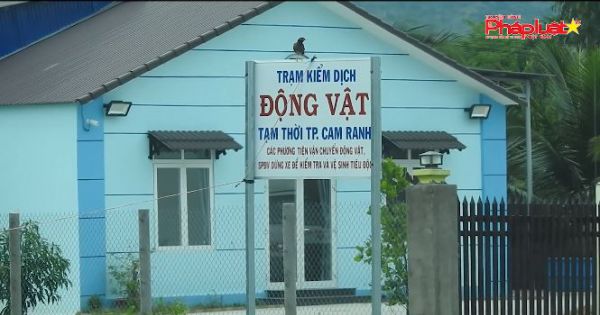 Điều tra: Trạm Kiểm dịch động vật TP Cam Ranh thu tiền sai quy định