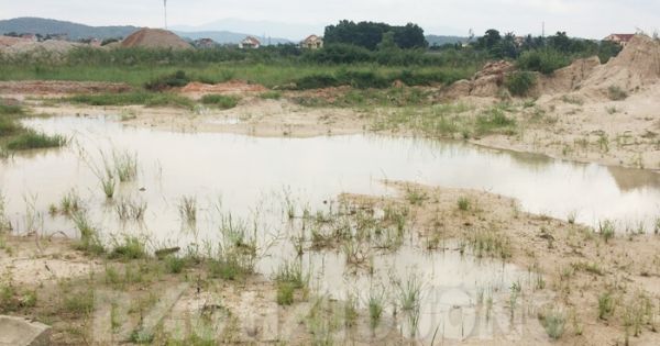 Vũng Tàu: Hàng chục căn nhà xây dựng trái phép trên đất dự án