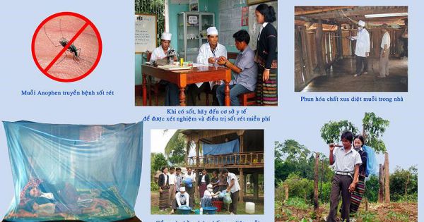 Cảnh báo ký sinh trùng sốt rét kháng thuốc lan khắp Đông Nam Á