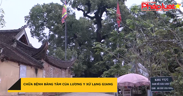 Chữa bệnh bằng tâm của lương y xứ Lạng Giang