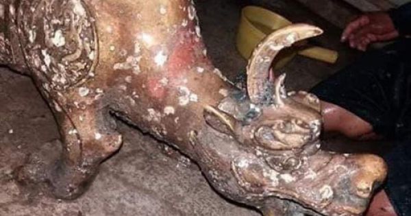 Xác minh nhóm người thả tượng 