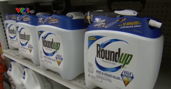Nhiều bằng chứng khẳng định thuốc diệt cỏ của Monsanto gây ung thư